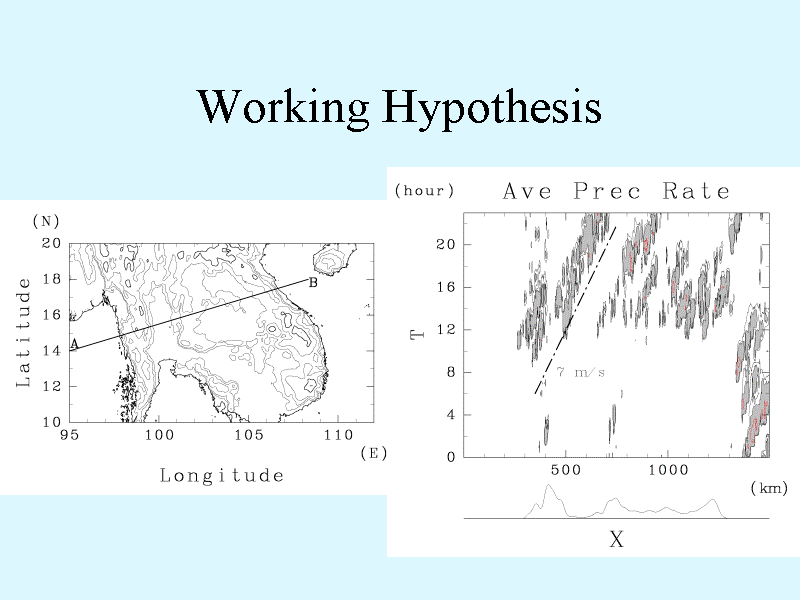 Working Hypothesis
