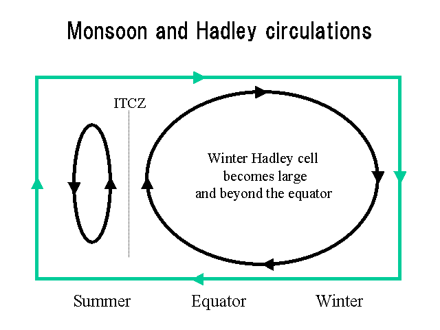 Monsoon and Hadley circulations
