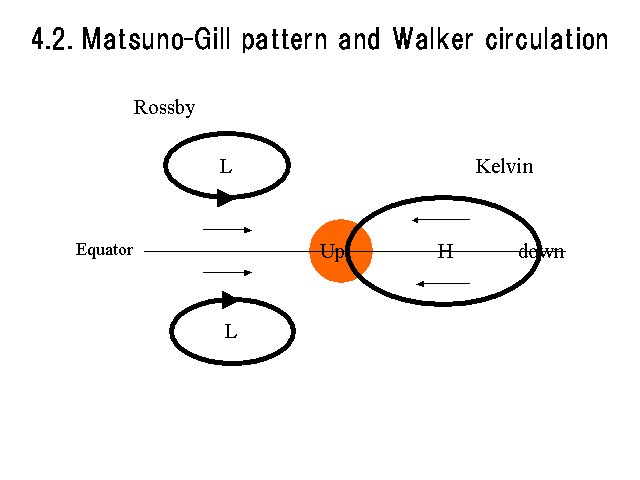 4.2. Matsuno-Gill pattern and Walker circulation