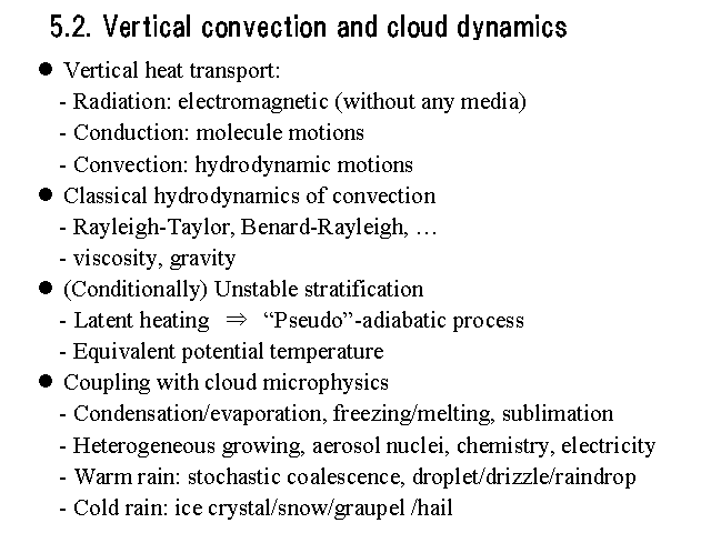 5.2. Vertical convection and cloud dynamics