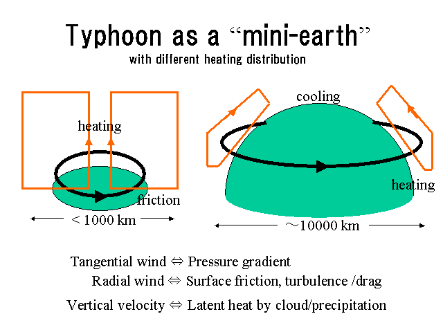 Typhoon as a gmini-earthhwith different heating distribution