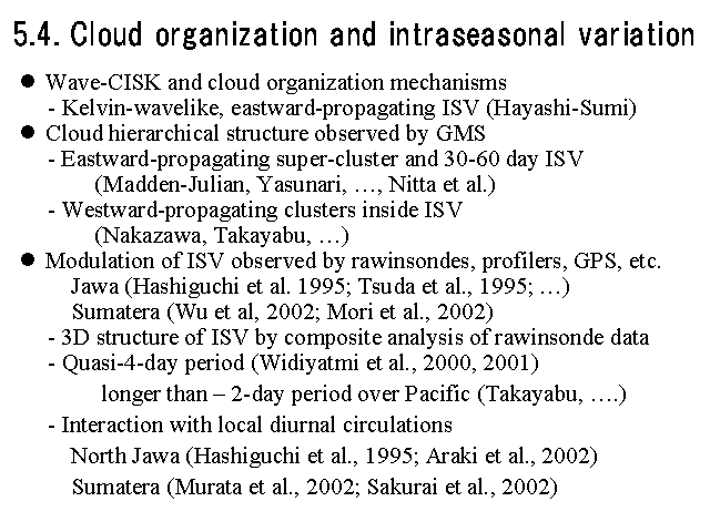 5.4. Cloud organization and intraseasonal variation