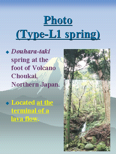 Photo (Type-L1 spring)