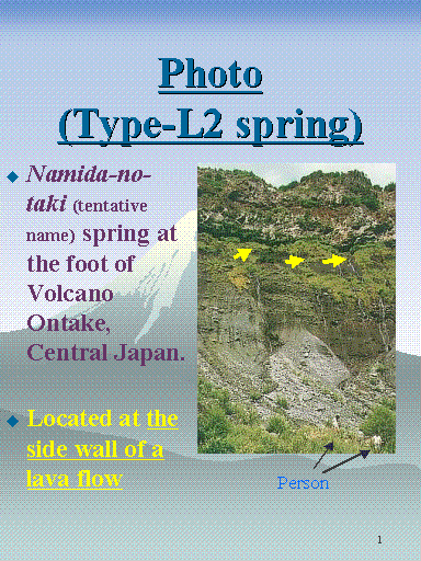 Photo (Type-L2 spring)