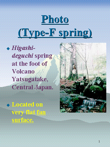 Photo (Type-F spring)