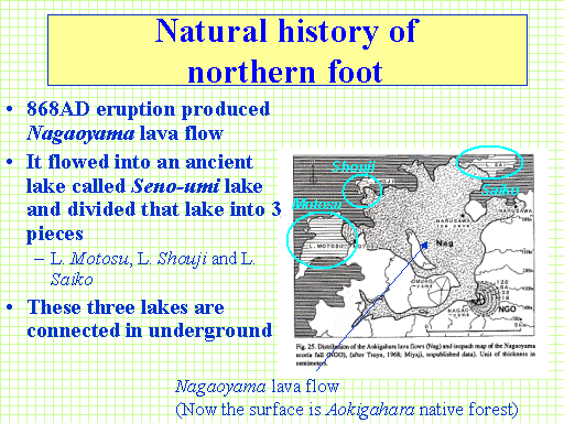 Natural history of northern foot