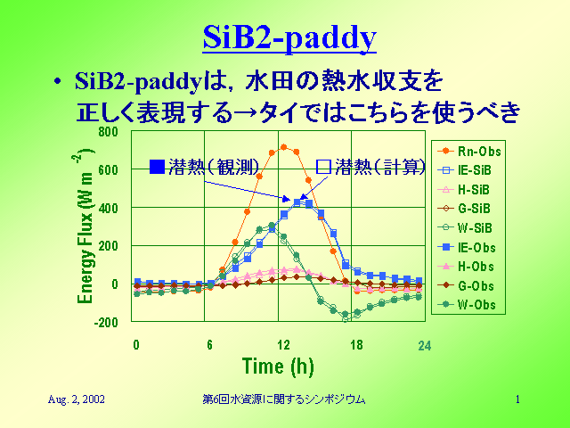 SiB2-paddy