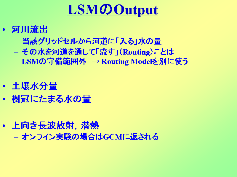 LSMOutput